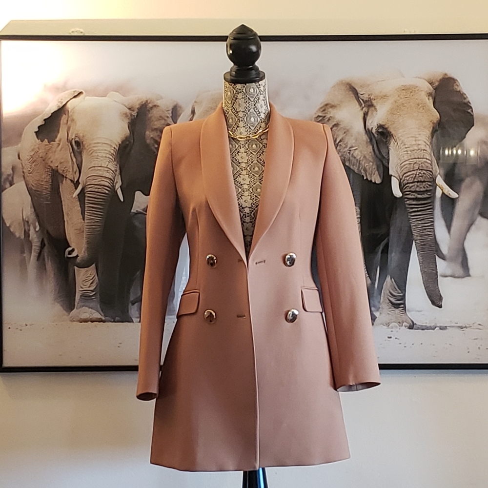 Zara double breasted buttoned frock coat